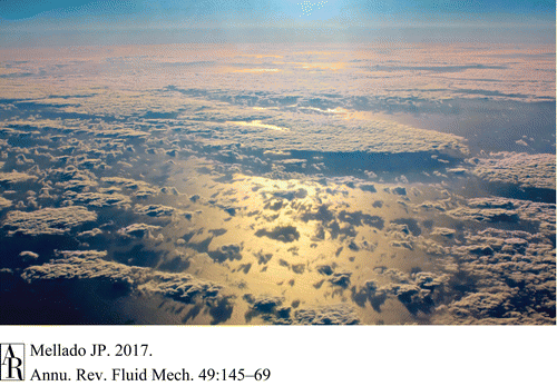 cloud-top