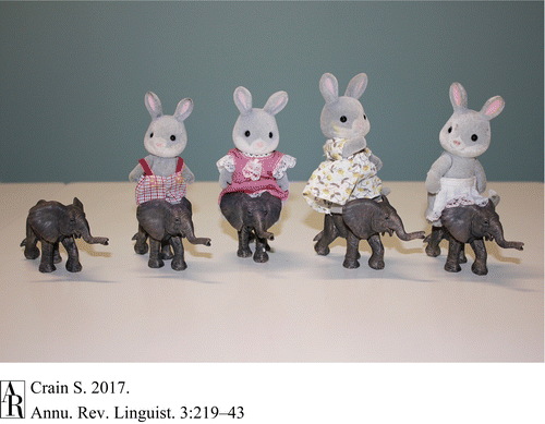 li3-rabbits-and-elephants