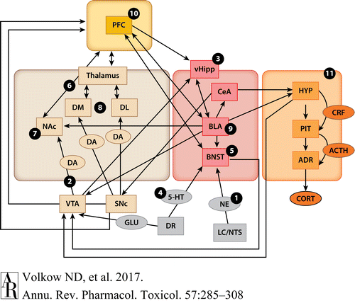 pa57stress-and-reward