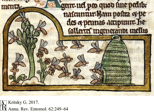 en62-bees