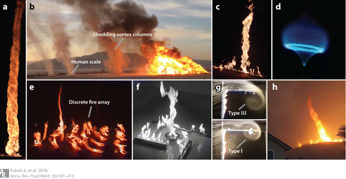 fl50-fire whirls